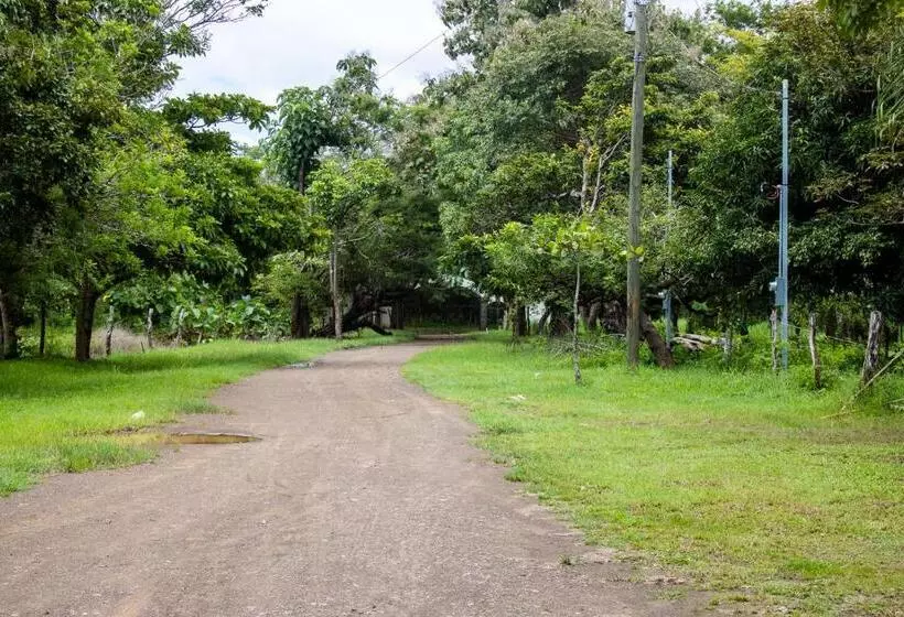 Las Motas Surf Camp & Hostel