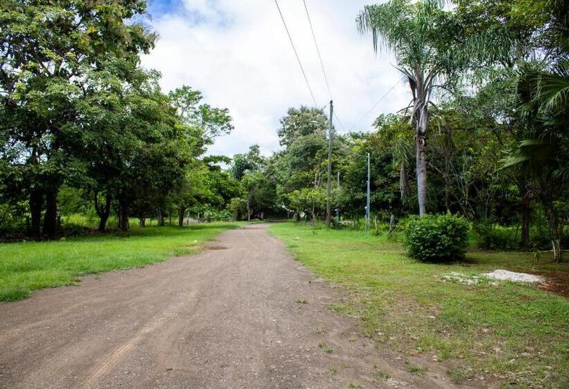 Las Motas Surf Camp & Hostel