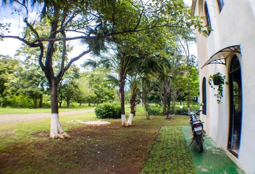 Las Motas Surf Camp & Hostel