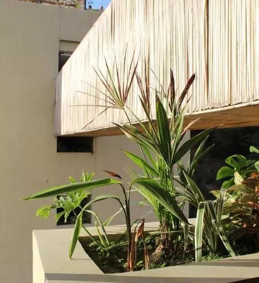 Maramara More To Live