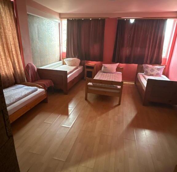 הוסטל Hanu Flori