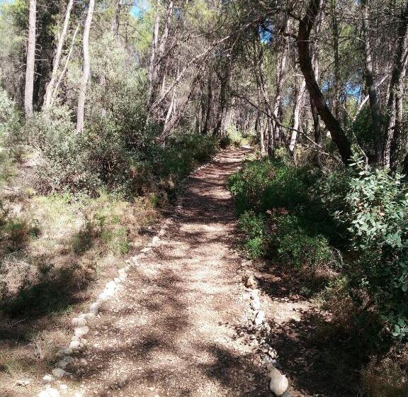 호스텔 Pension Buena Vista