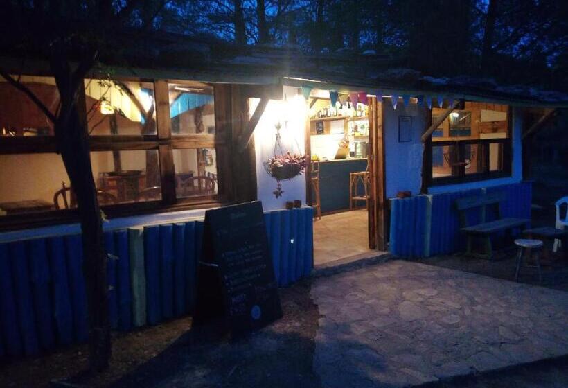 호스텔 Pension Buena Vista