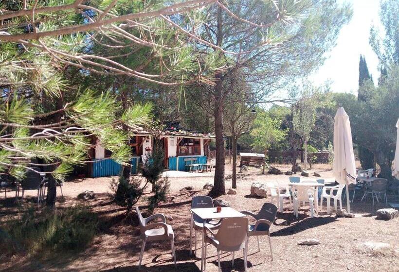 호스텔 Pension Buena Vista