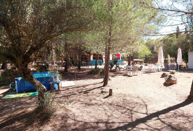 호스텔 Pension Buena Vista