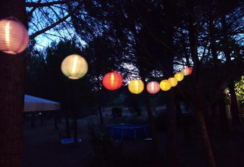 호스텔 Pension Buena Vista