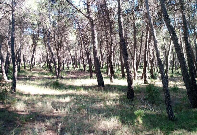 호스텔 Pension Buena Vista