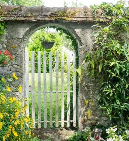 ベッドアンドブレックファースト Les Anges Rêveurs