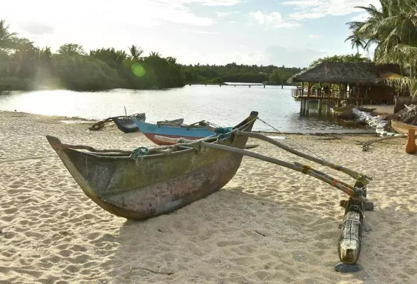ベッドアンドブレックファースト Silent Cabana And Restaurant Marakolliya, Tangalle