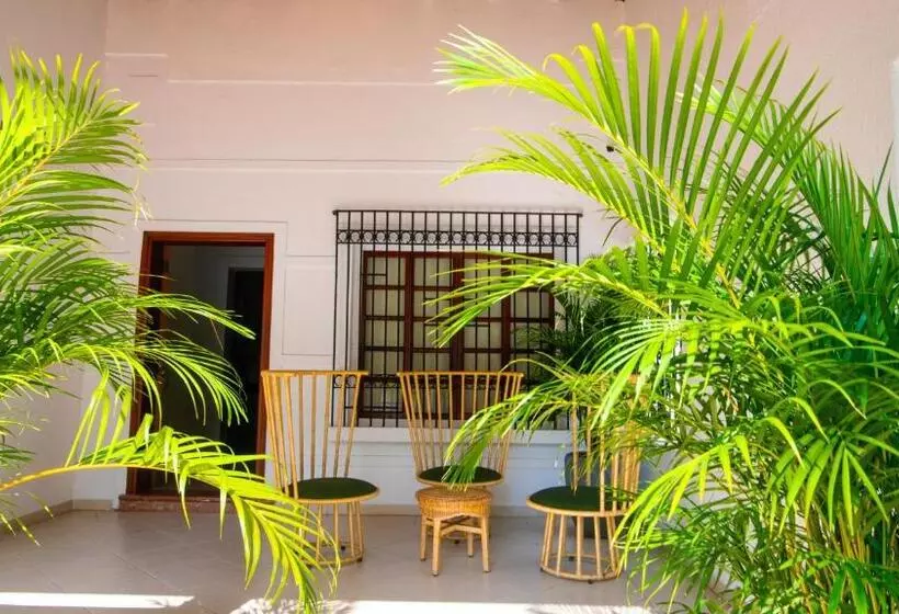 ホテル Casa Palmar Cartagena
