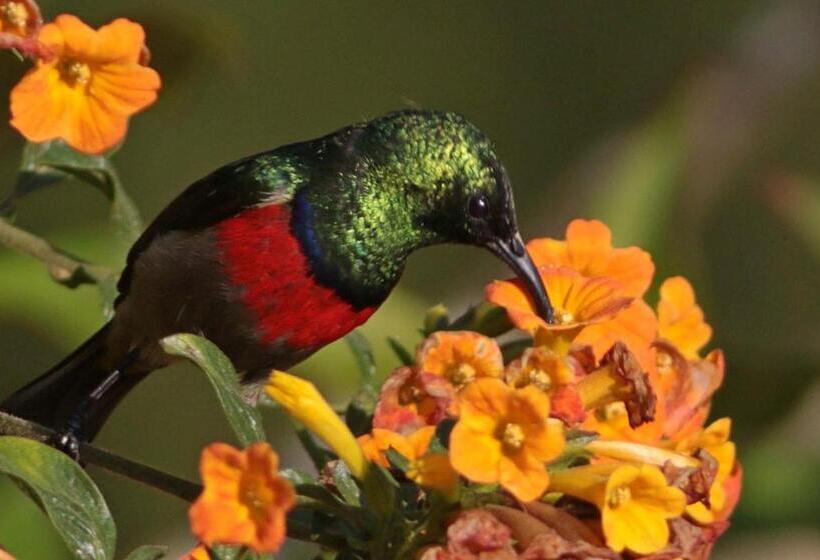 Hotel Kuhestan Farm Cottages