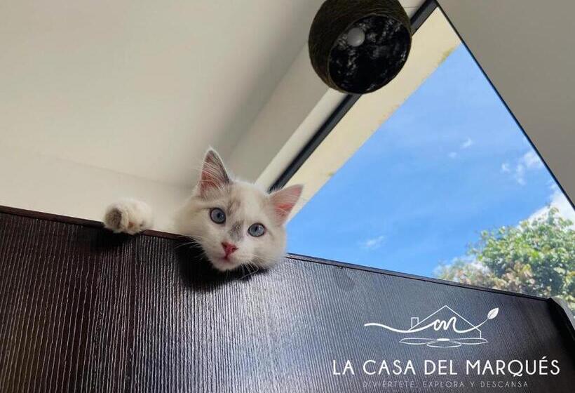 فندق La Casa Del Marqués