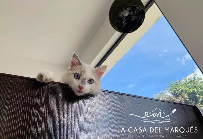 ホテル La Casa Del Marqués