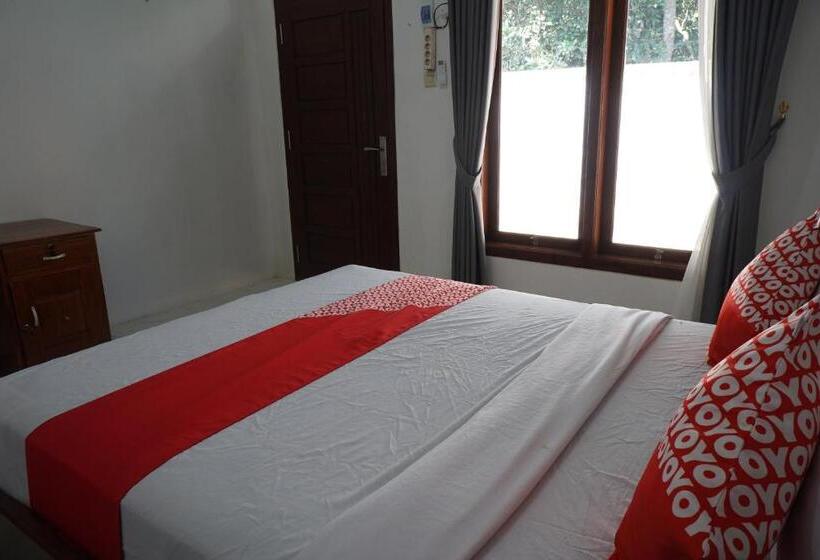 Hotel Oyo 93185 Ayani Guest House