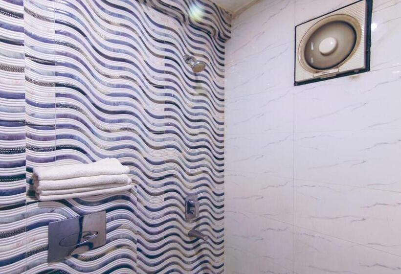 Hotel Shyam   In Front Of Ndls Station