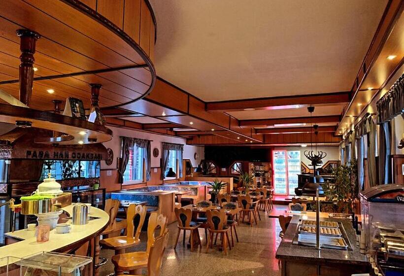 Pasa Han Hotel M1autópálya