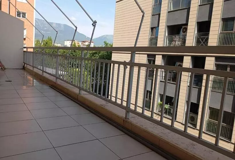 پانسیون Friends Hostel