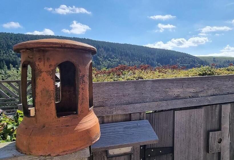 펜션 Maison D Hôtes Chaleureuse En Montagne, Proche De La Bresse Hohneck Et Gérardmer, Idéale Pour Randon
