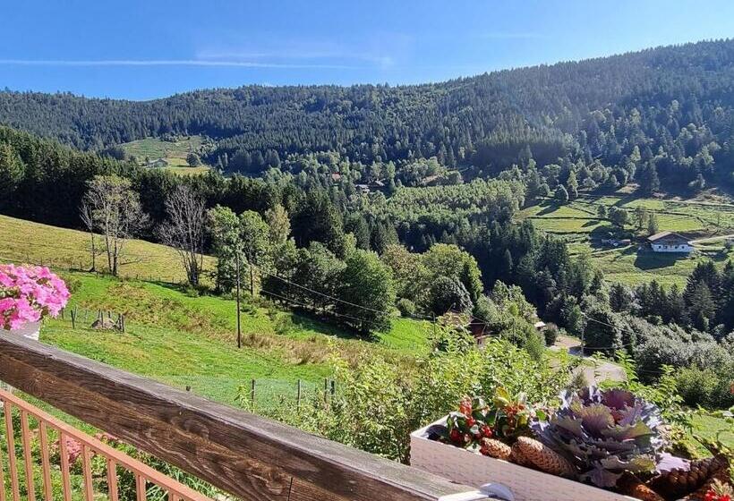펜션 Maison D Hôtes Chaleureuse En Montagne, Proche De La Bresse Hohneck Et Gérardmer, Idéale Pour Randon