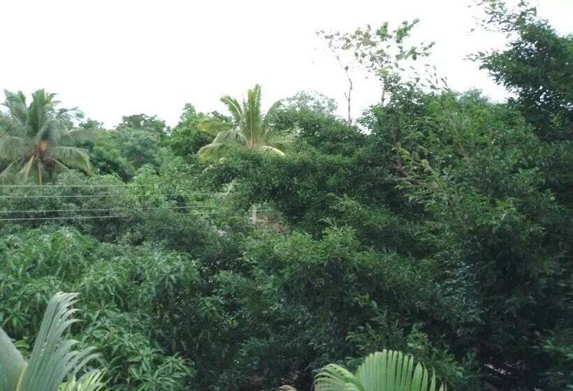 پانسیون Jungle Look Safari House