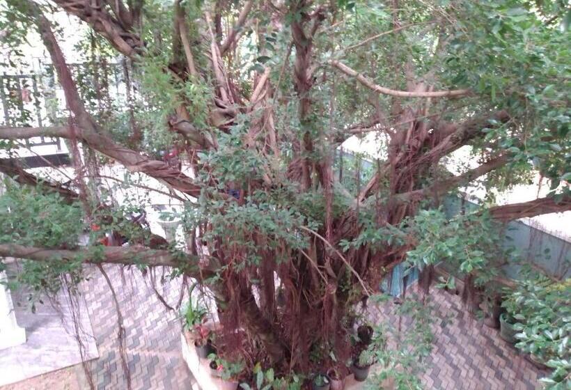 Majatalo Jungle Look Safari House