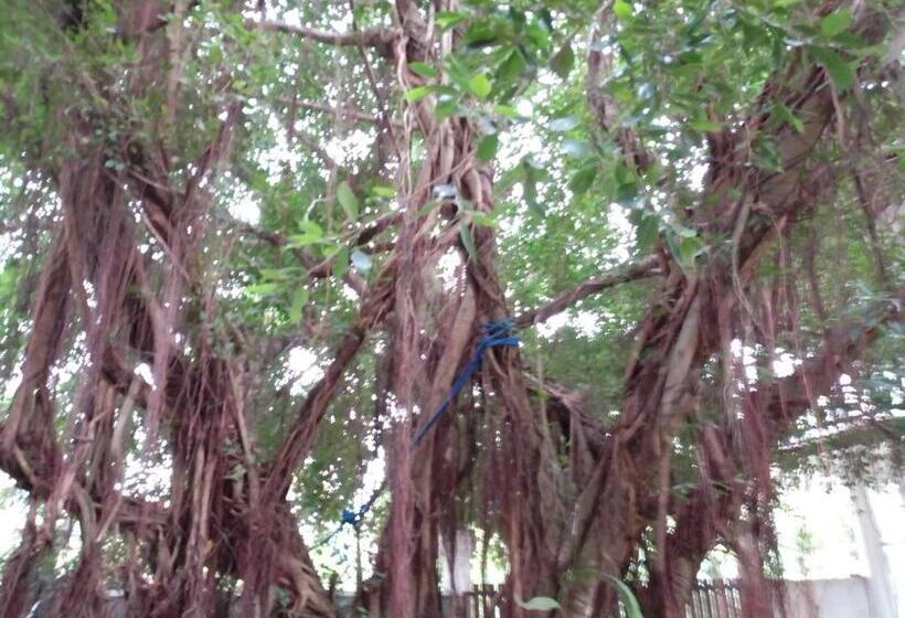 Majatalo Jungle Look Safari House