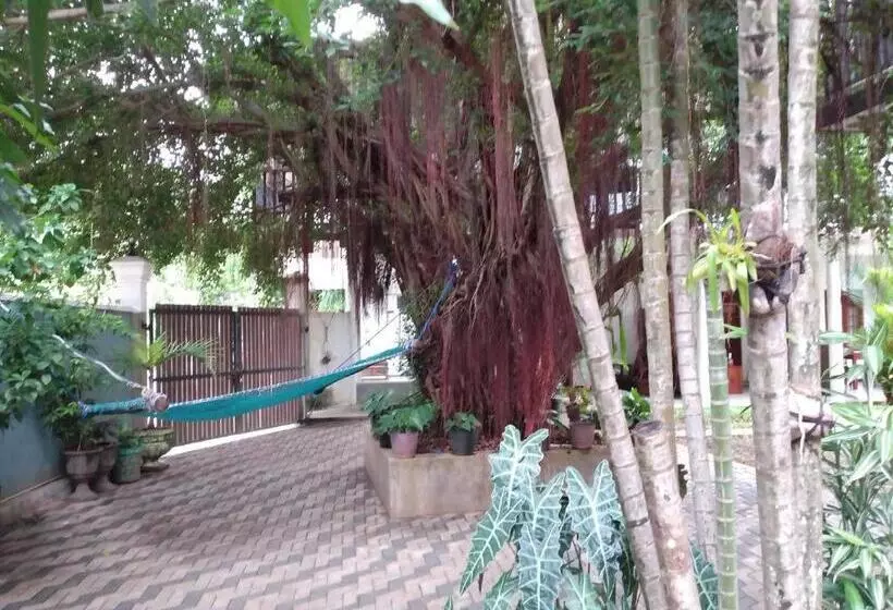 پانسیون Jungle Look Safari House