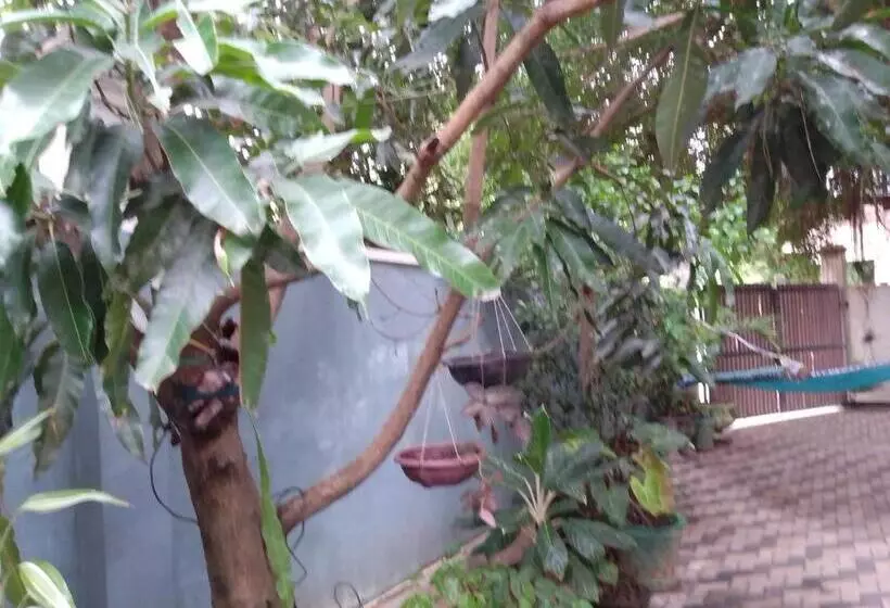 پانسیون Jungle Look Safari House
