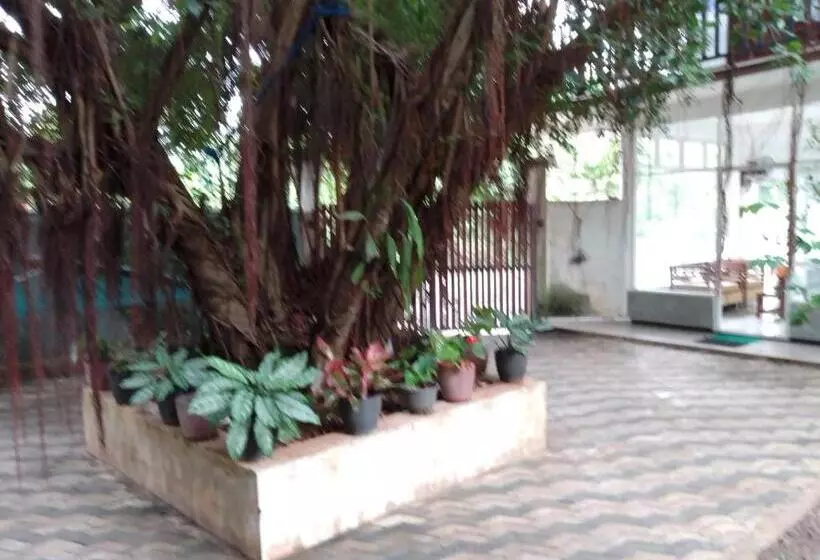 پانسیون Jungle Look Safari House