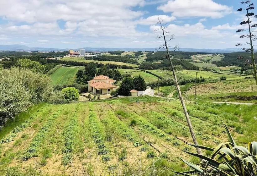 Aamiaismajoitus (B&B) Boutique Hotel Serena Vista