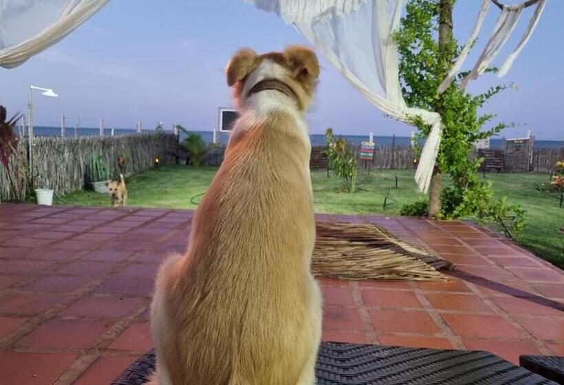 تختخواب و صبحانه Vila Dalva