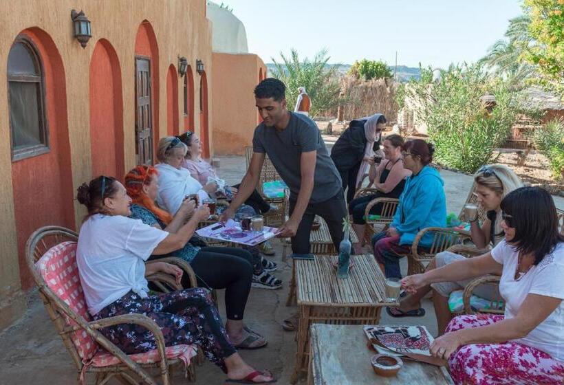 هتل Bawiti Oasis Resort منتجع واحه الباويطي