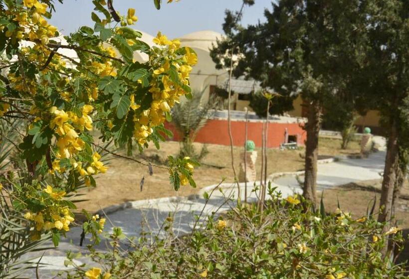 هتل Bawiti Oasis Resort منتجع واحه الباويطي