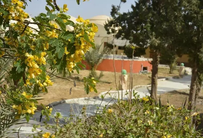 هتل Bawiti Oasis Resort منتجع واحه الباويطي