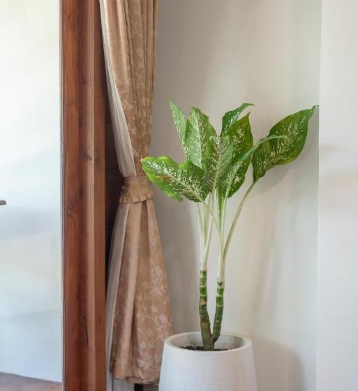 בית מלון כפרי Betel Palm Village   Casa Retreat