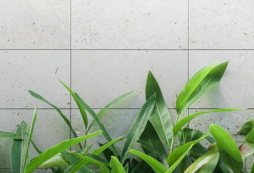 בית מלון כפרי Tanegashima Araki Bekkan