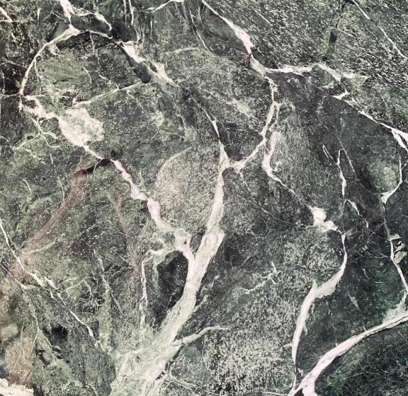 فندق Villa Urbana