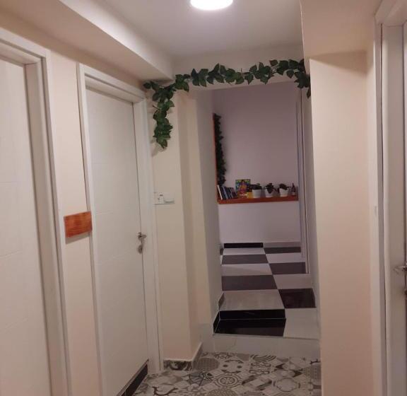 پانسیون Apartmani Zaara