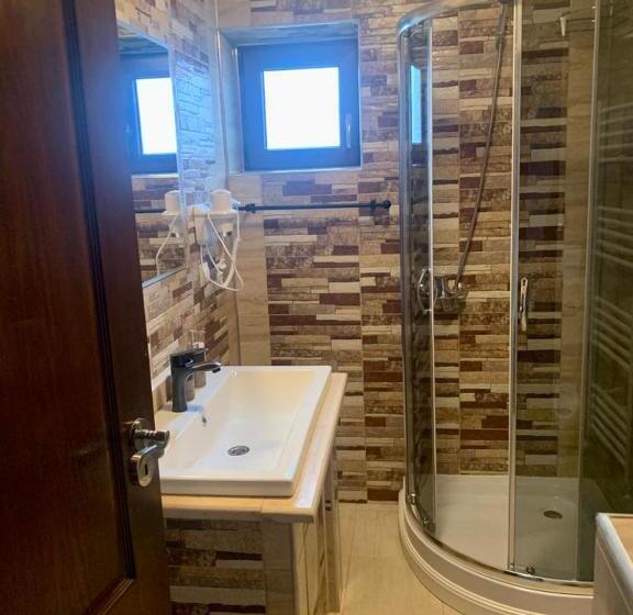 Пансион Vidra Dacica