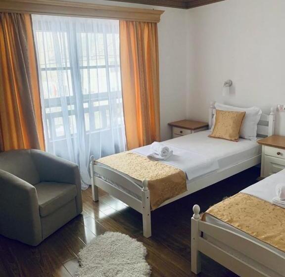 Пансион Vidra Dacica