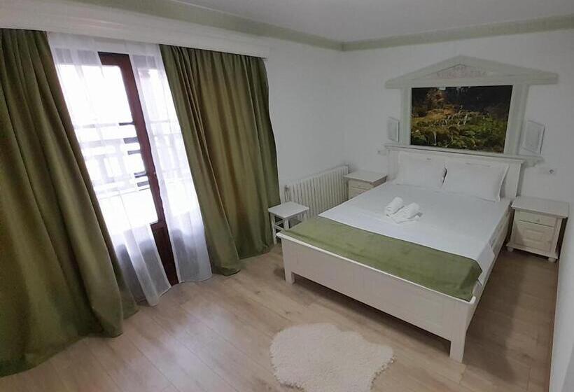 Пансион Vidra Dacica