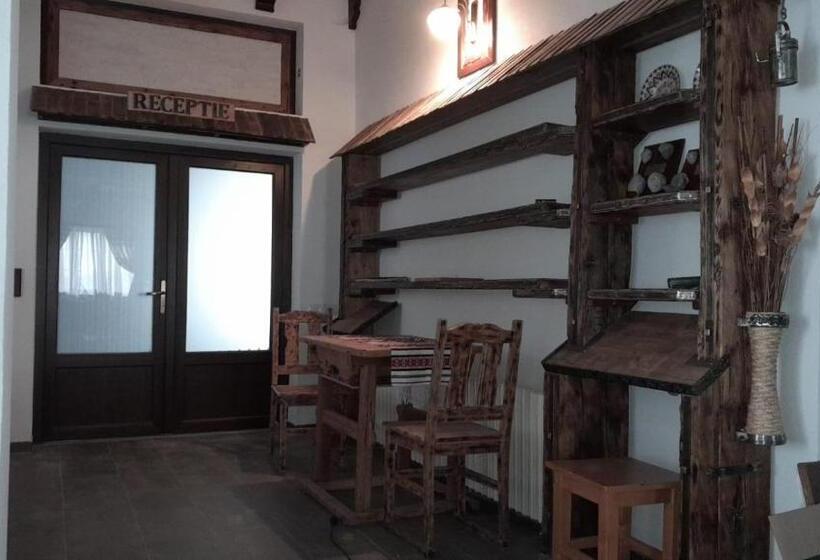 Пансион Vidra Dacica