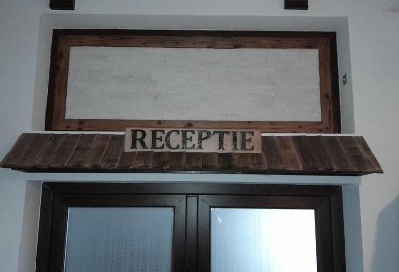 Пансион Vidra Dacica