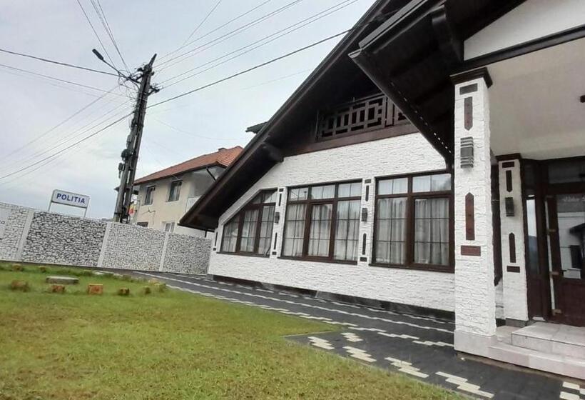 Пансион Vidra Dacica