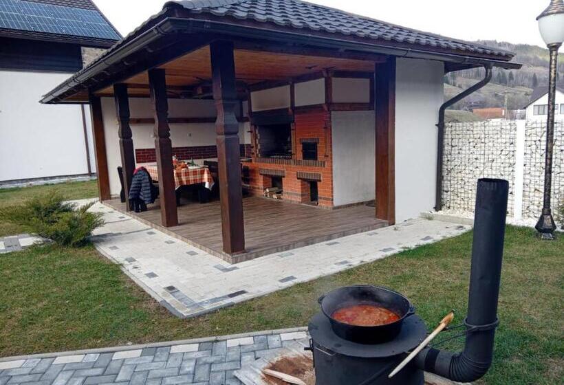 Пансион Vidra Dacica