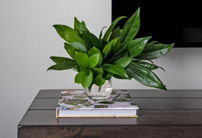 Rise Doro Apartments By Barsala