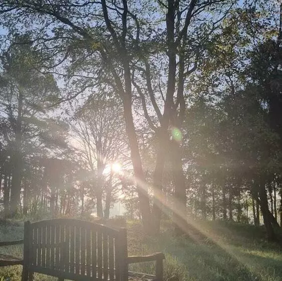 Royal Swan, Ashley Manor   B&b