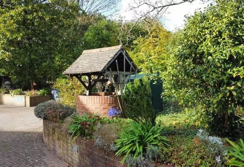 Royal Swan, Ashley Manor   B&b