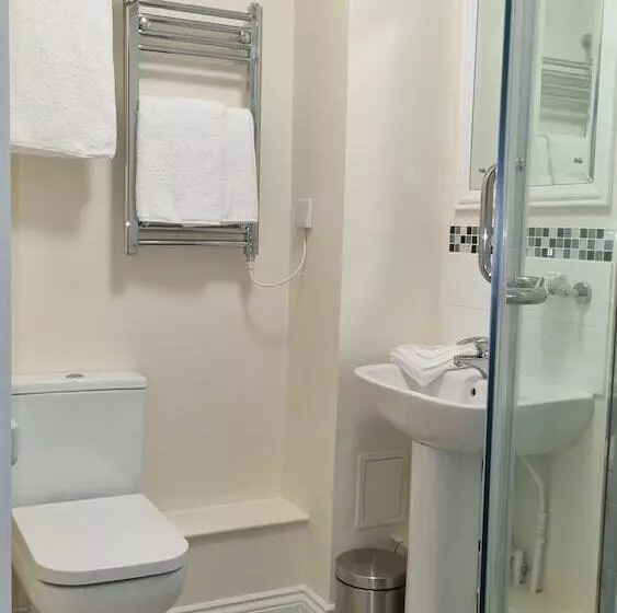 Royal Swan, Ashley Manor   B&b