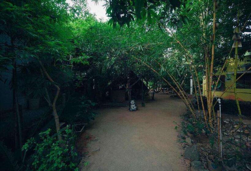 The Last Stop Backpackers Hostel